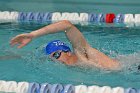 MSwim vs USCGA  Men’s Swimming & Diving vs US Coast Guard Academy. : MSwim, swimming